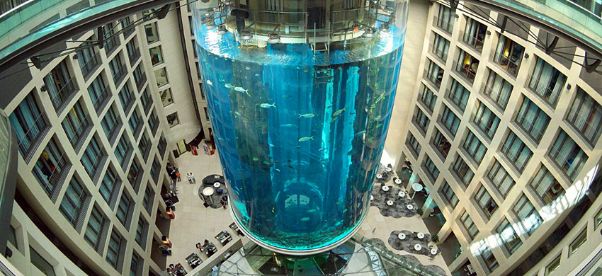 AquaDom